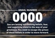 0000 Angel Number Meaning For Career, And Personal Life 0000 Angel Number