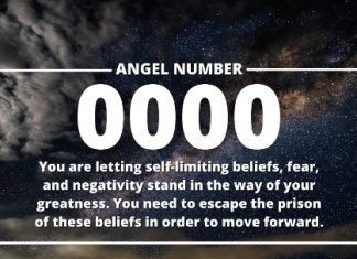 0000 Angel Number Meaning For Career, And Personal Life 0000 Angel Number