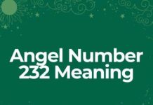 232 Angel Number: A Spiritual Guidance 232 Angel Number