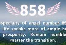 858 Angel Number Meaning And Symbolism 858 Angel Number