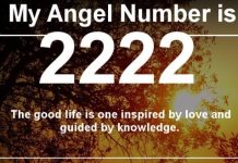 Angel Number 2222 Meaning And Symbolism Angel Number 2222