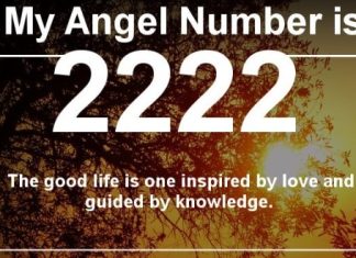 Angel Number 2222 Meaning And Symbolism Angel Number 2222