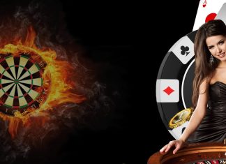Allbet Casino Game Provider: The Gaming Experience