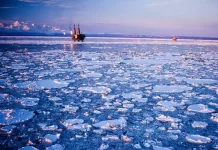 Untapped Opportunities: Oil Trading in Polar Regions