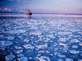 Untapped Opportunities: Oil Trading in Polar Regions