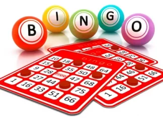 5 Steps to Becoming a Bingo Pro